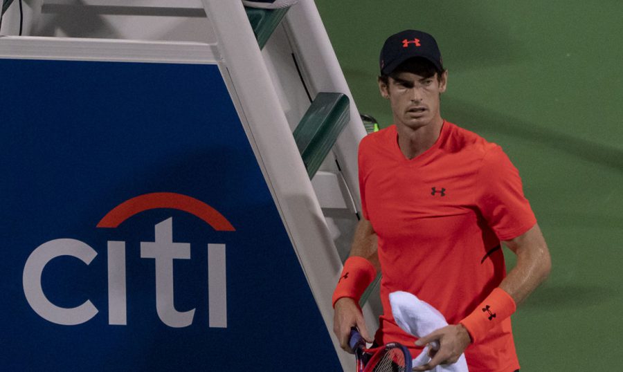 andy murray tennis